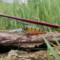 Westin Buzzbite Crankbaits 5cm/6g